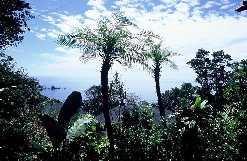 Ishiyama Rikyu Gosoku No Kutsu Amakusa (Amakusa Islands) Exterior foto